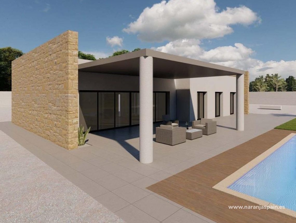 New build - Villa - Pinoso - Campo