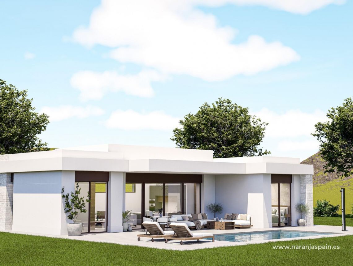 New build - Villa - Pinoso - Lel