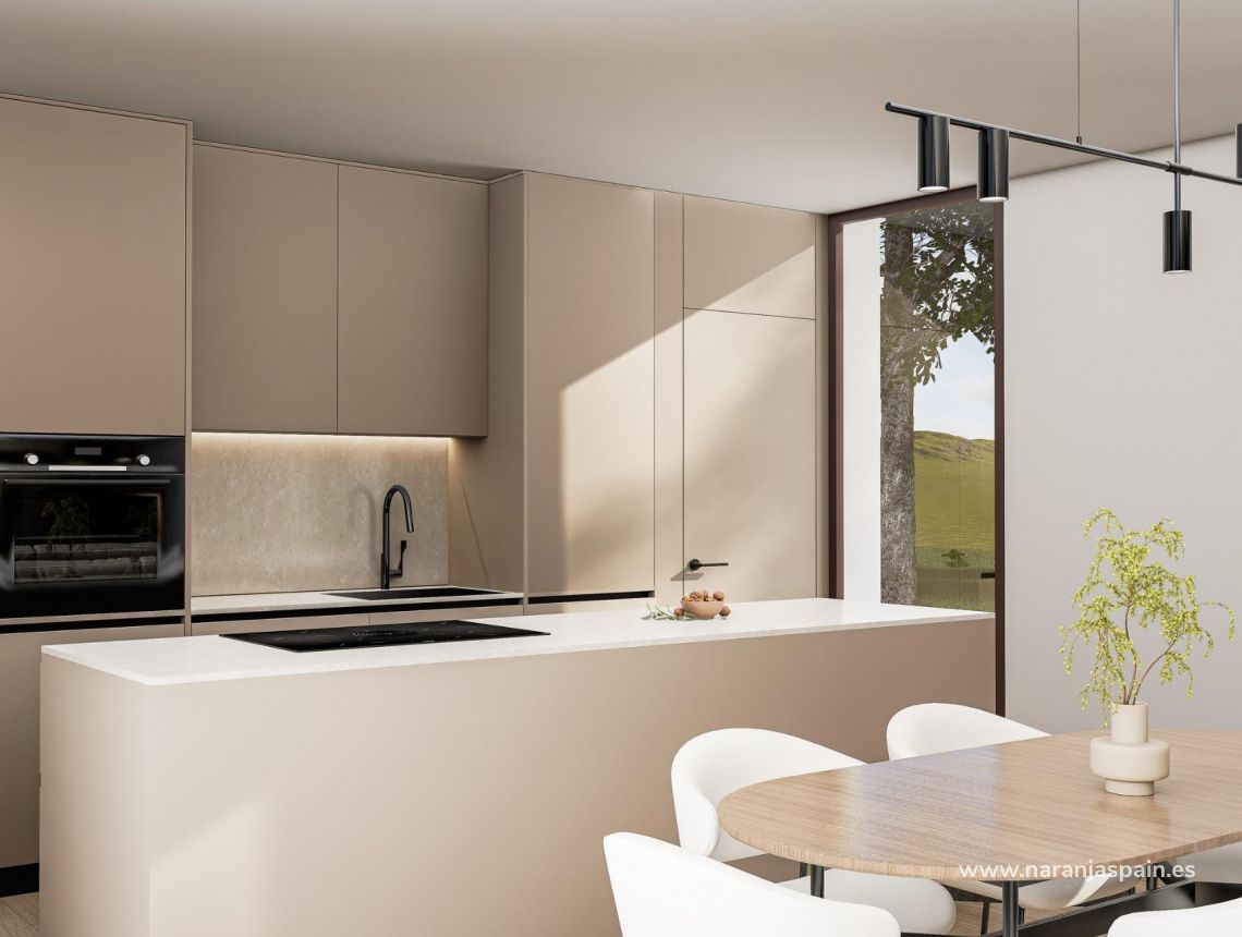 New build - Villa - Pinoso - Lel