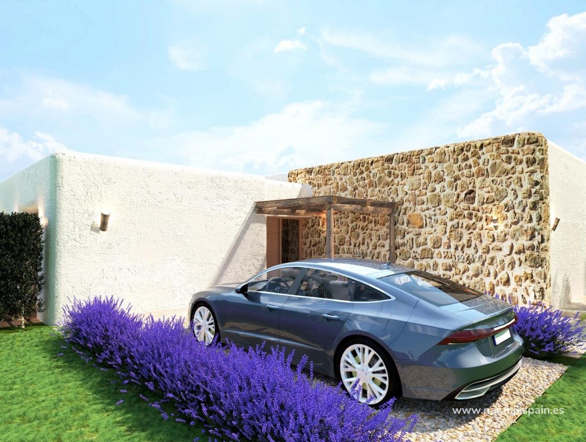 New build - Villa - Pinoso - Rodriguillo