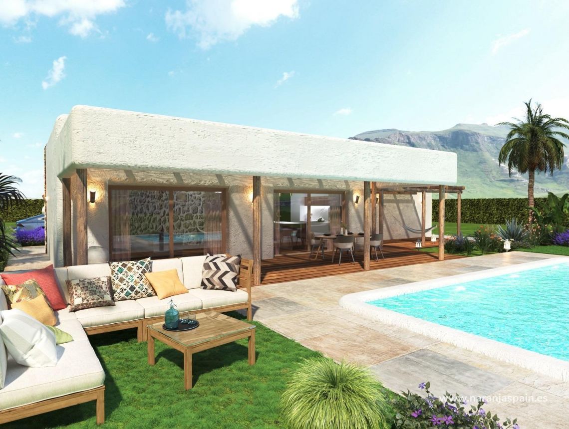 New build - Villa - Pinoso - Rodriguillo