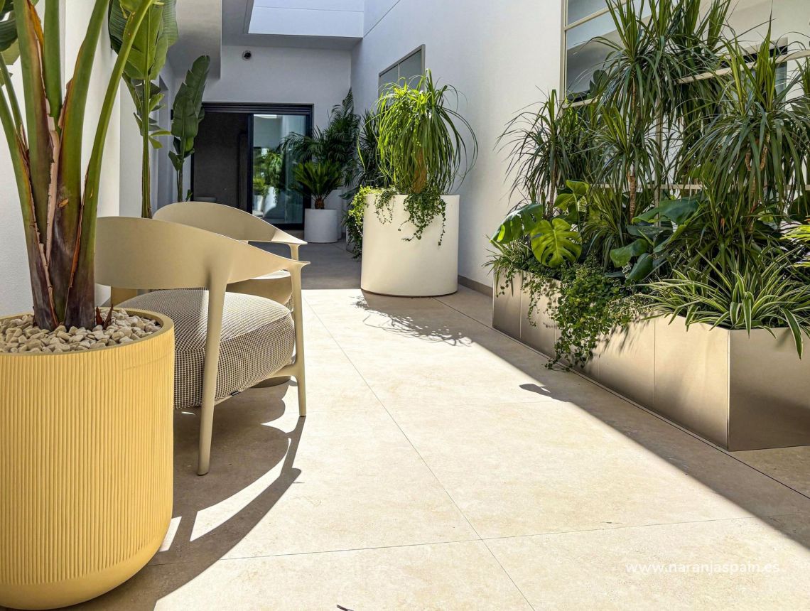 New build - Villa - Rojales - Ciudad Quesada