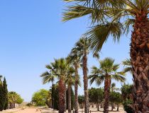 New build - Villa - San Fulgencio - La Escuera