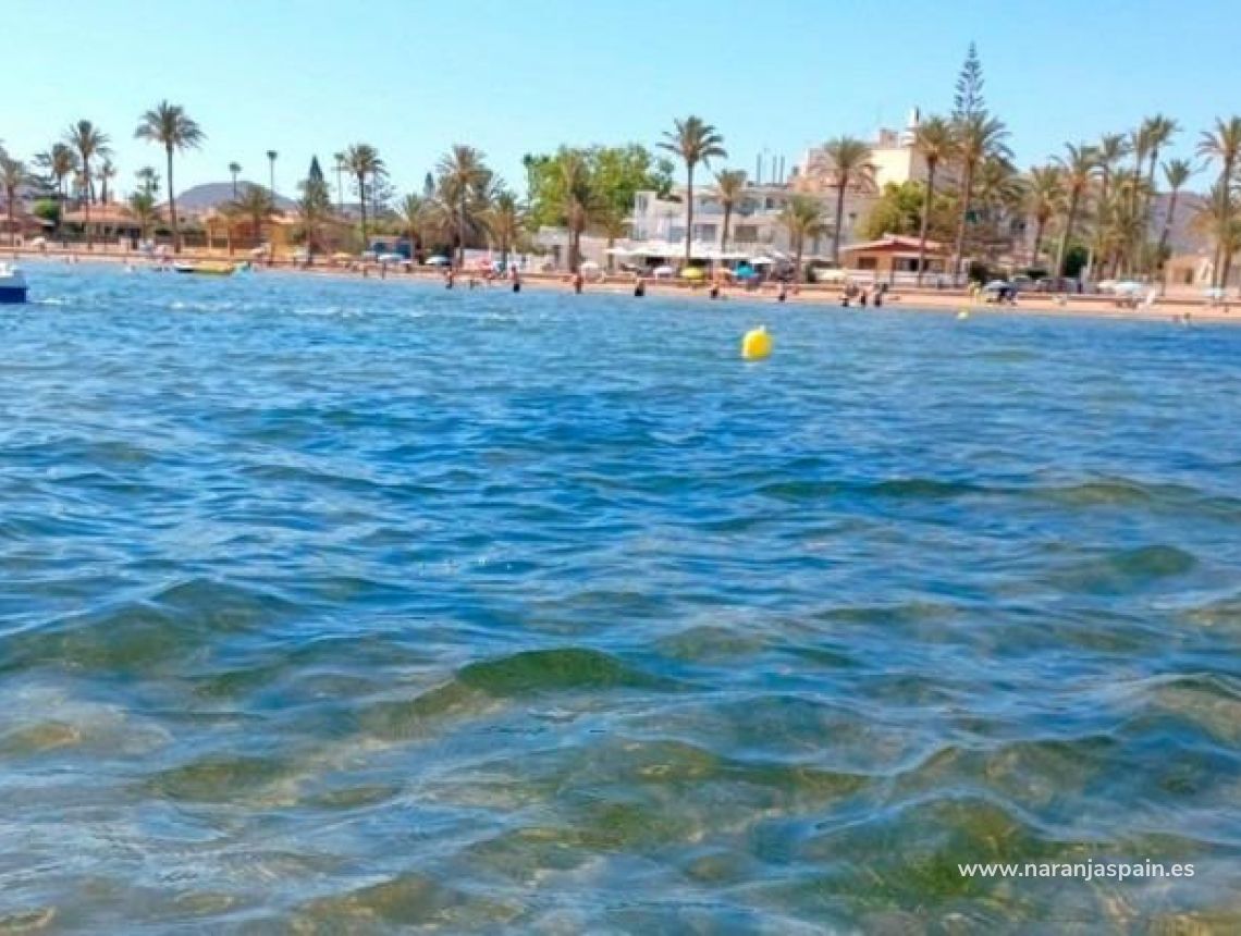 New build - Villa - Torre Pacheco - Roldán