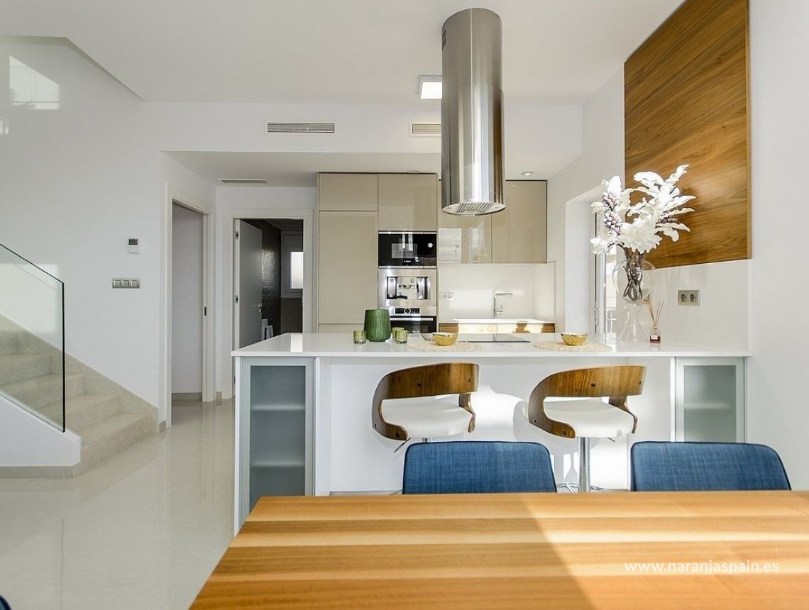 New build - Villa - Vera - Vera Playa