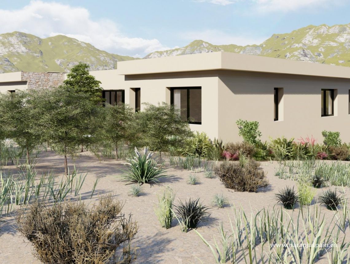 New build - Villa - Yecla