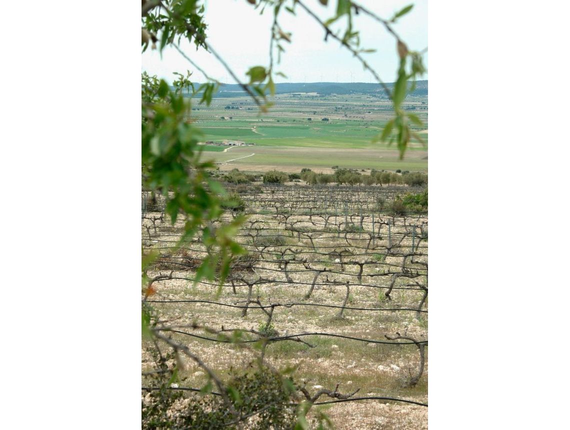 New build - Villa - Yecla