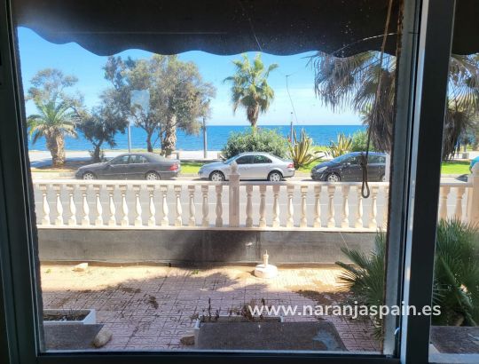 Nieruchomość komercyjna - Sprzedaż - Torrevieja - Curva del Palangre