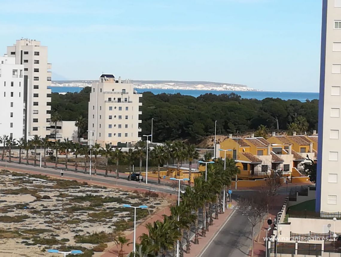 Nowa inwestycja - Apartament - Guardamar del Segura - Harbour Guardamar
