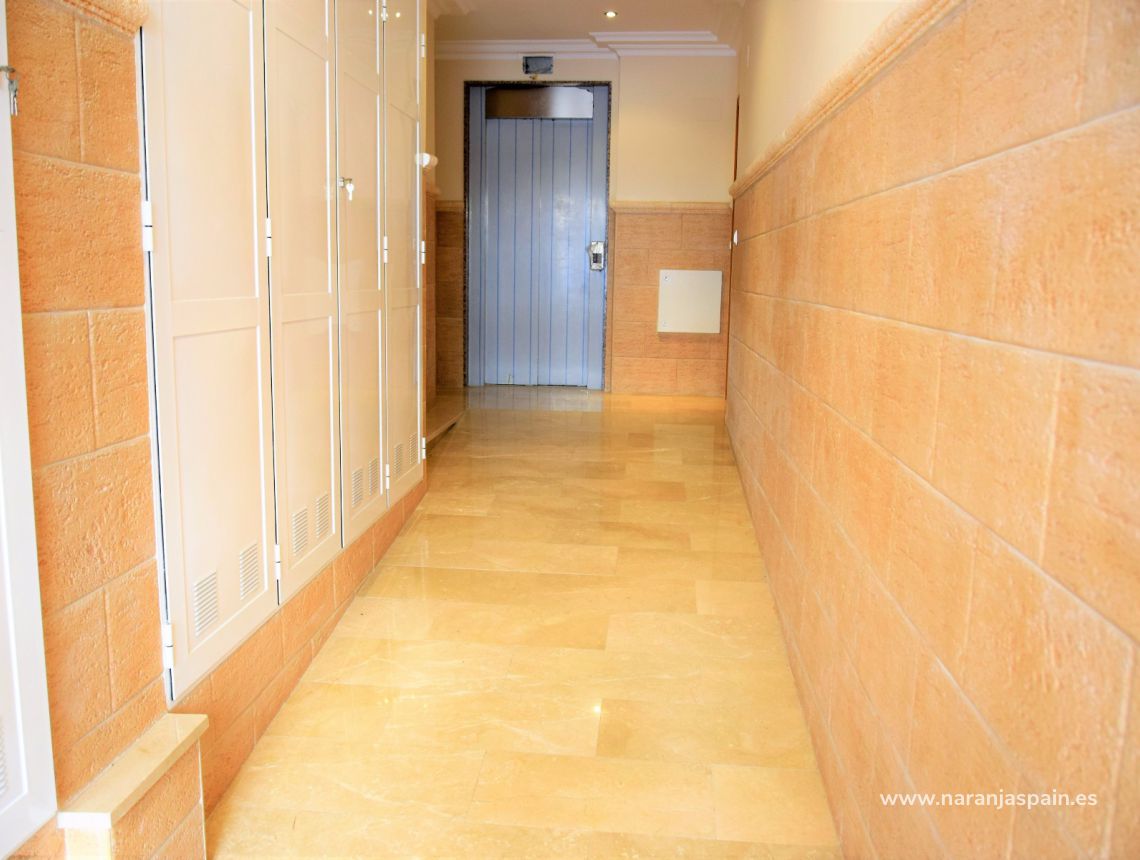 Nowa inwestycja - Apartament - Guardamar del Segura - Pineforest