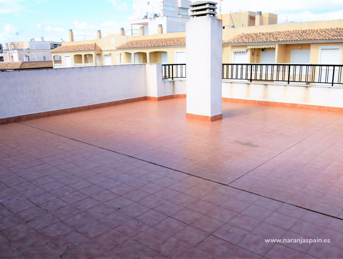 Nowa inwestycja - Apartament - Guardamar del Segura - Pineforest
