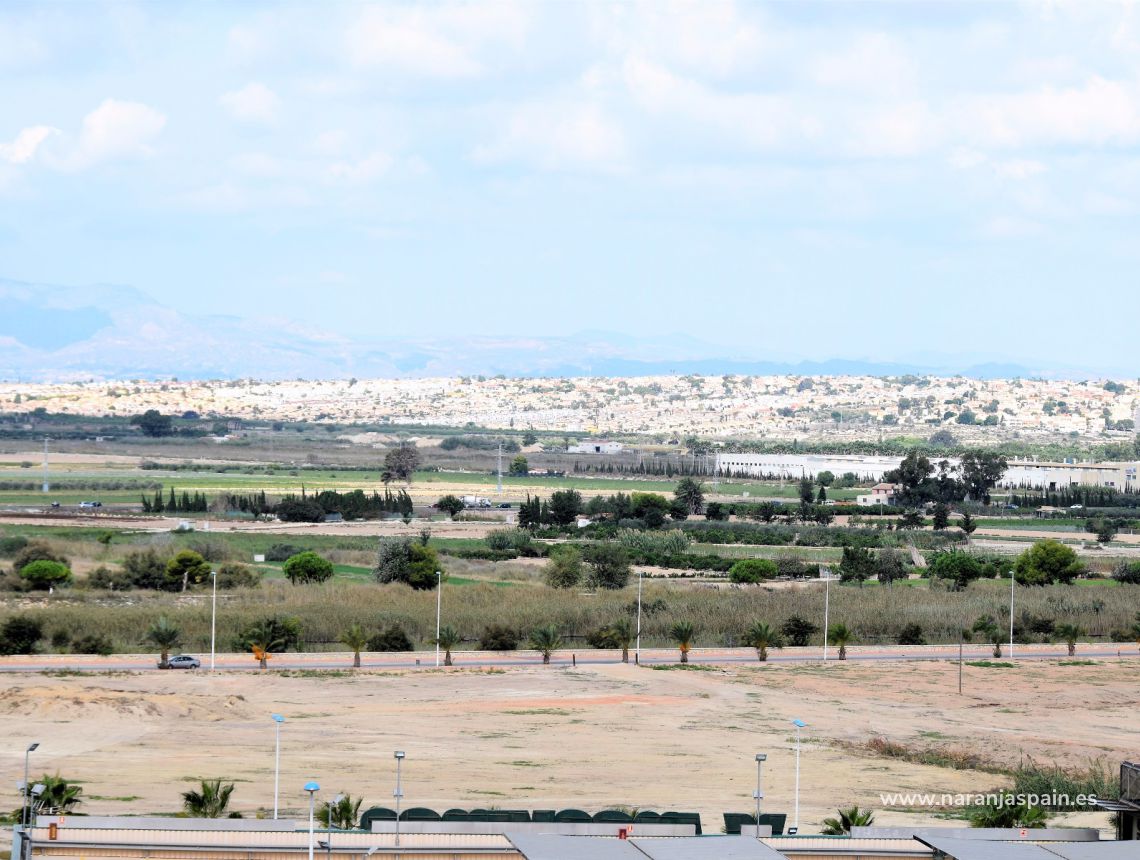 Nowa inwestycja - Apartament - Guardamar del Segura - Pineforest