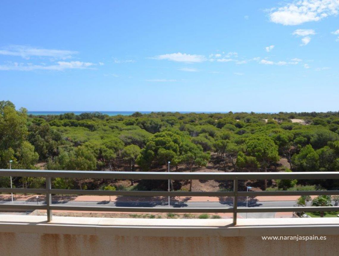 Nowa inwestycja - Apartament - Guardamar del Segura - Pineforest