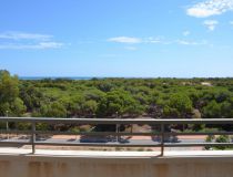 Nowa inwestycja - Apartament - Guardamar del Segura - Pineforest