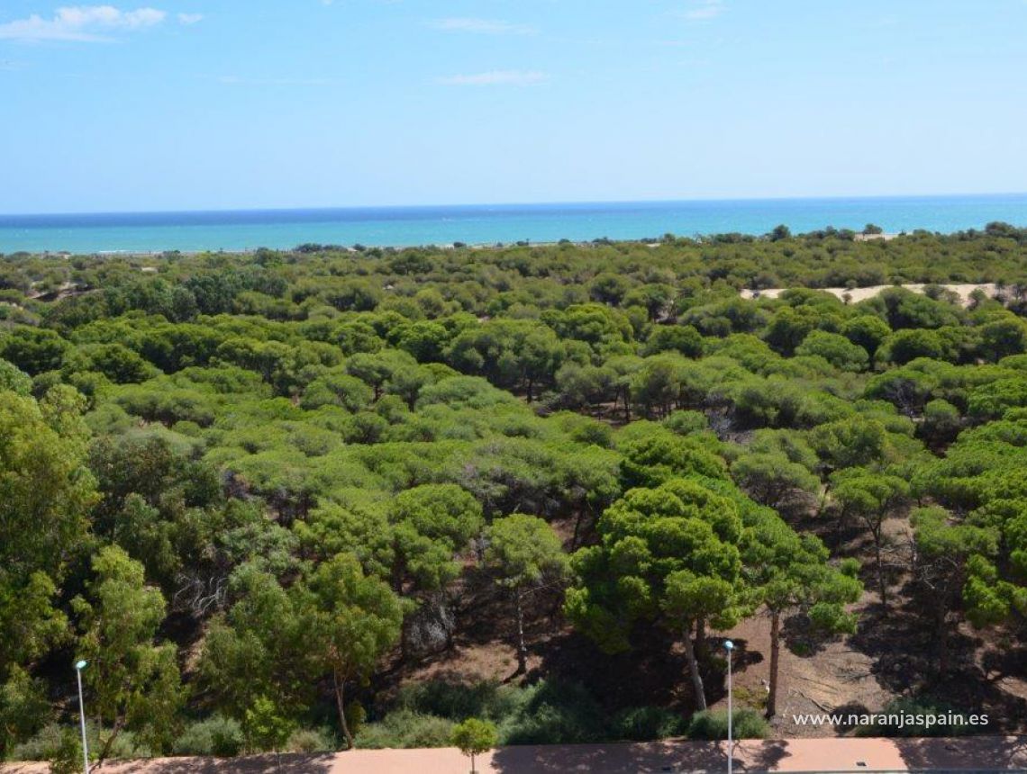 Nowa inwestycja - Apartament - Guardamar del Segura - Pineforest