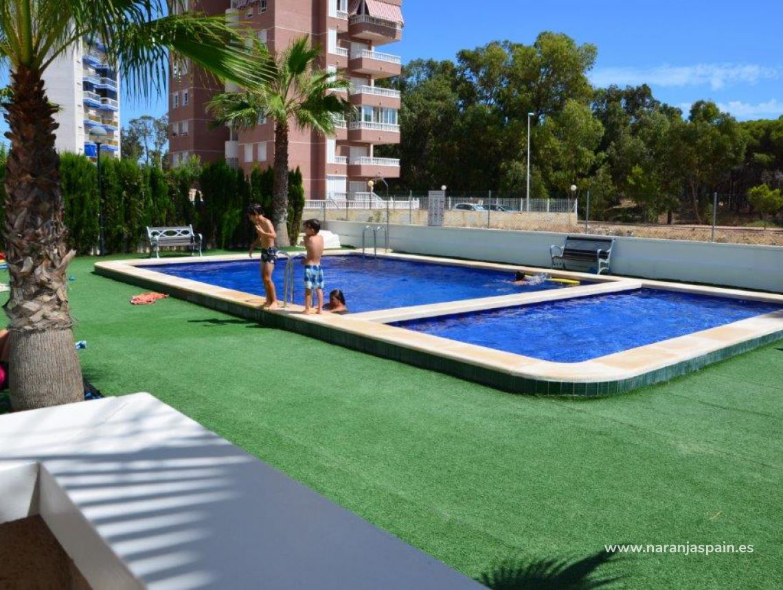 Nowa inwestycja - Apartament - Guardamar del Segura - Pineforest