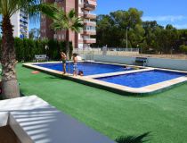 Nowa inwestycja - Apartament - Guardamar del Segura - Pineforest