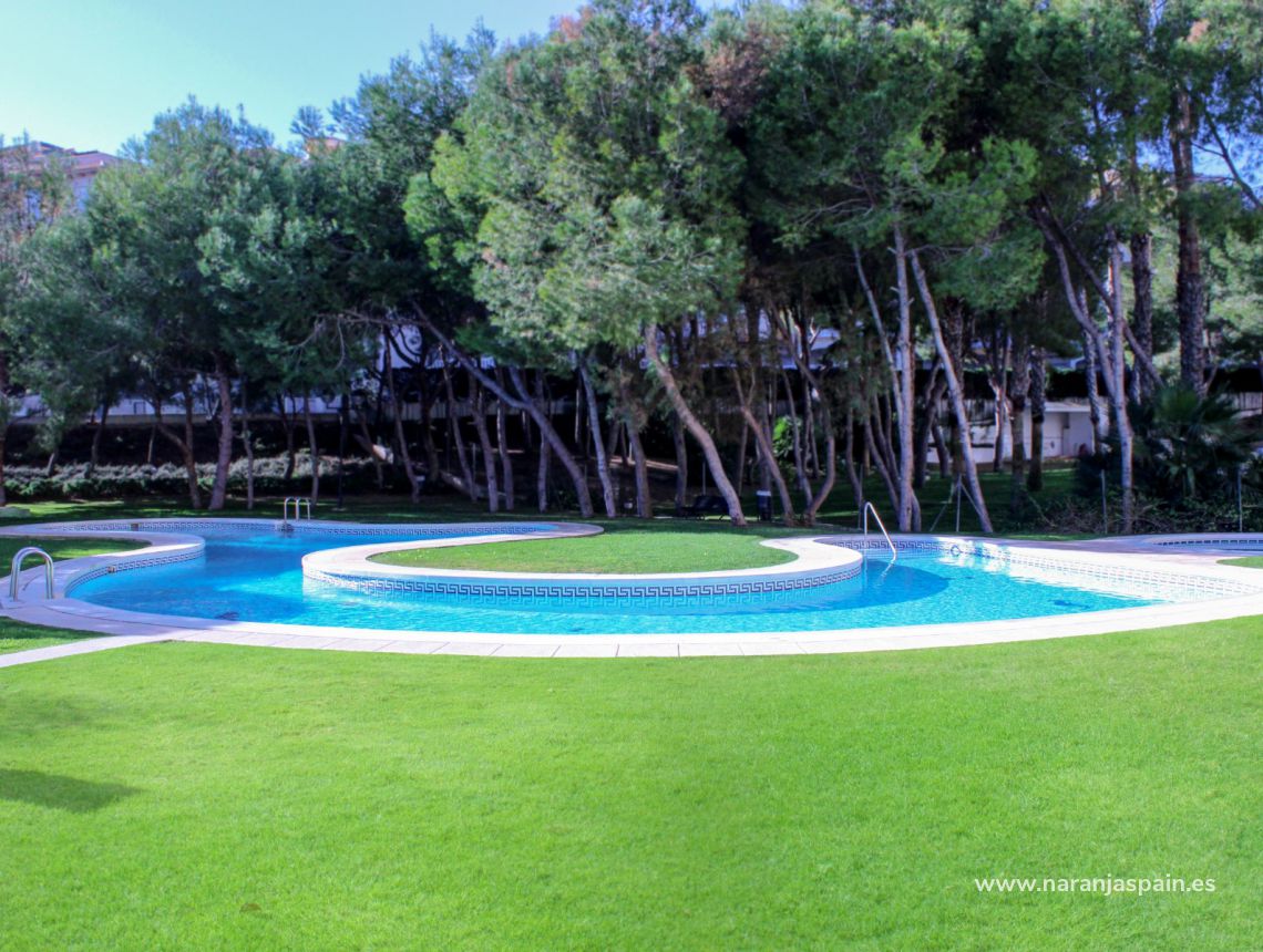 Nowa inwestycja - Apartament - Orihuela Coast - Campoamor