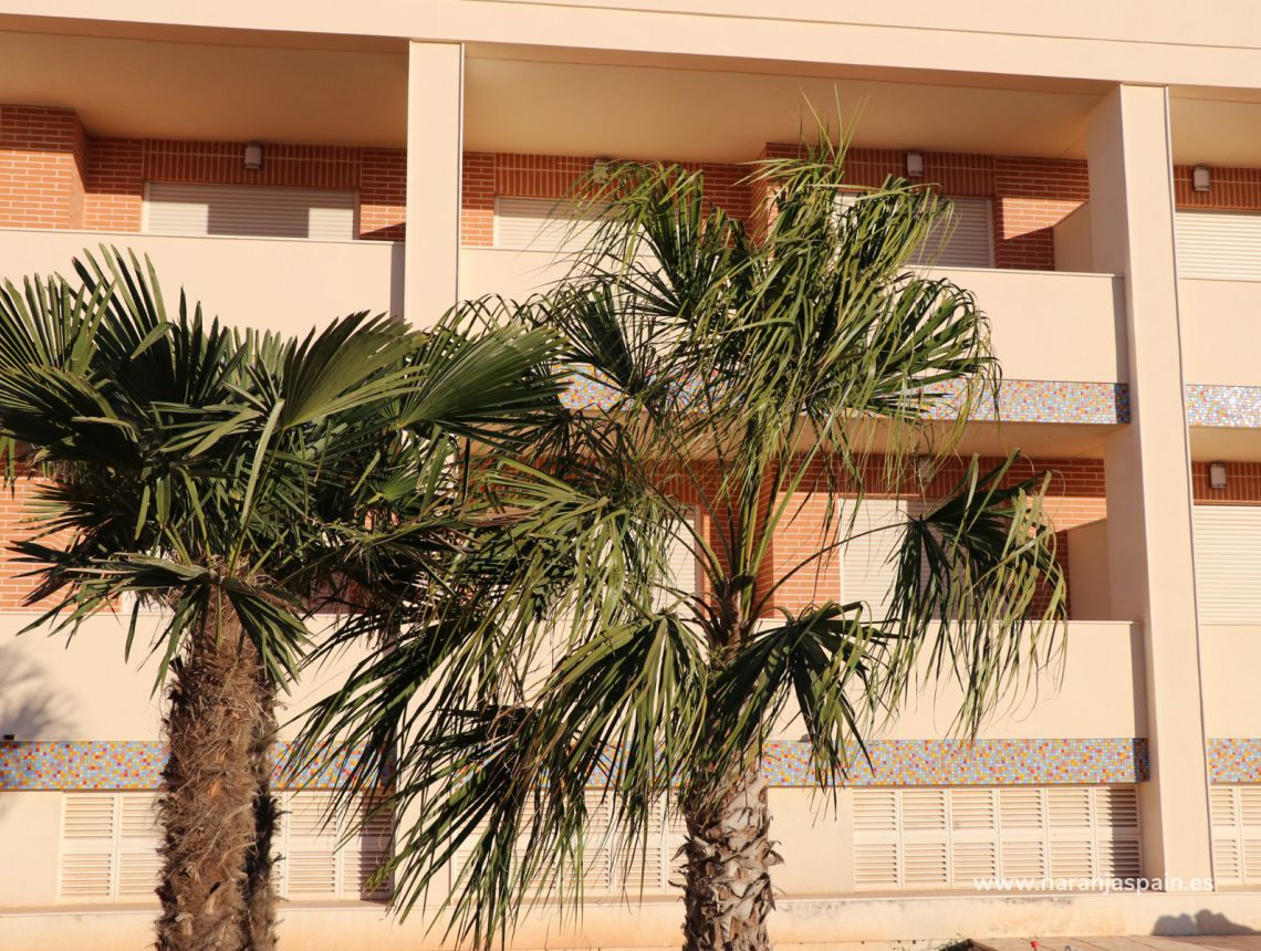 Nowa inwestycja - Apartament - Santa Pola - Gran Alacant