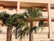 Nowa inwestycja - Apartament - Santa Pola - Gran Alacant