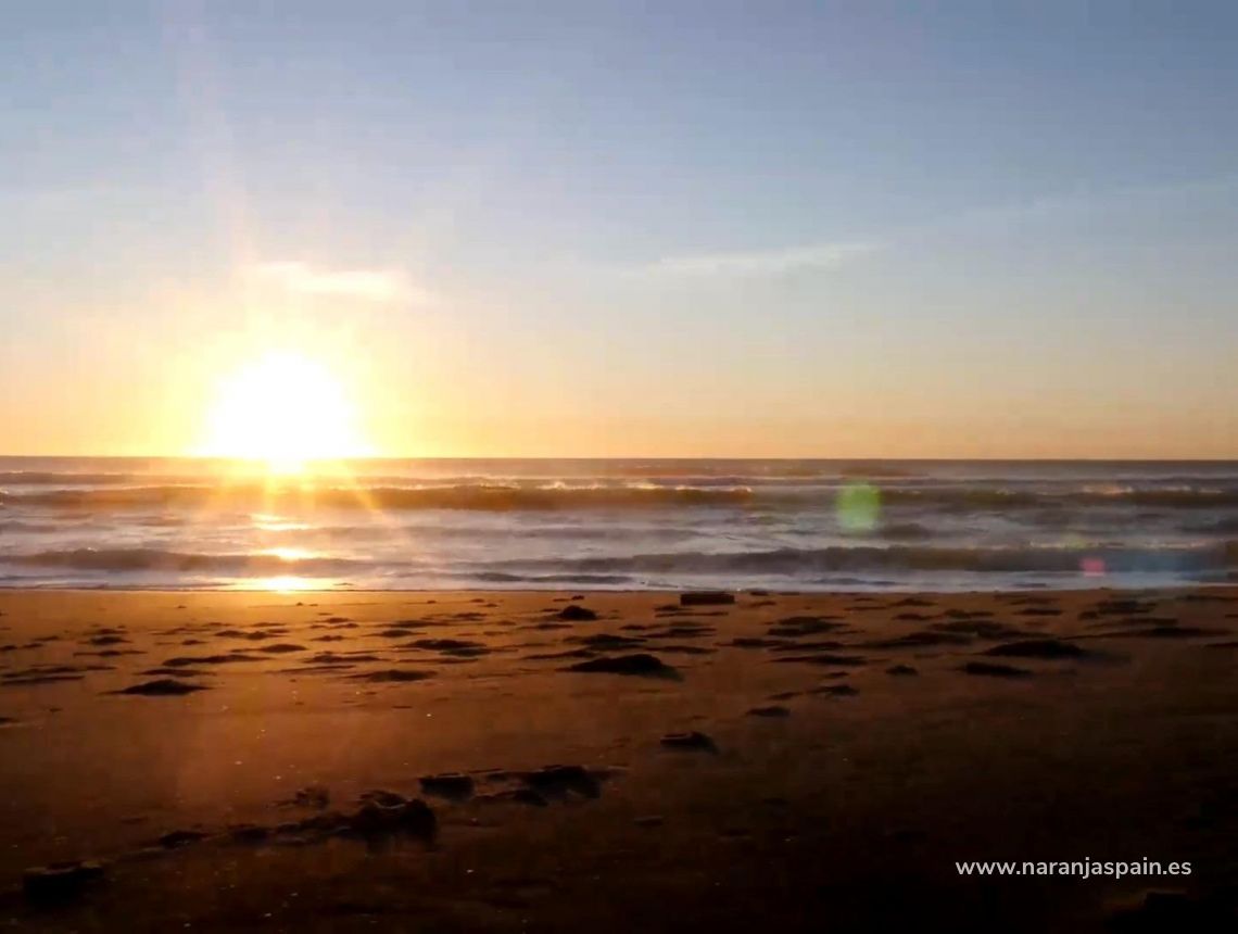 Nowa inwestycja - Apartament - Torrevieja - Centro