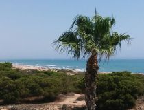 Nowa inwestycja - Apartament - Torrevieja - Torrevieja town