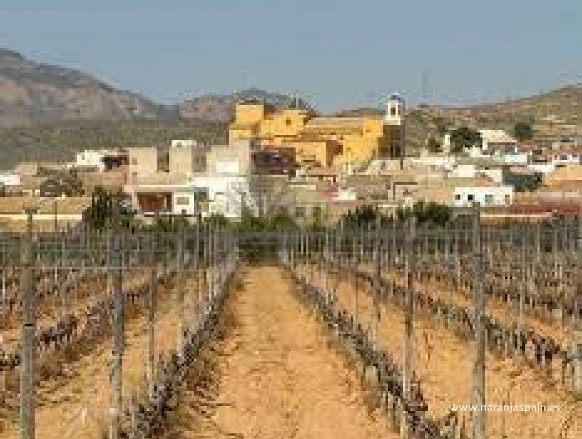 Nowa inwestycja - Bungalow - Hondon de las Nieves - Canalosa