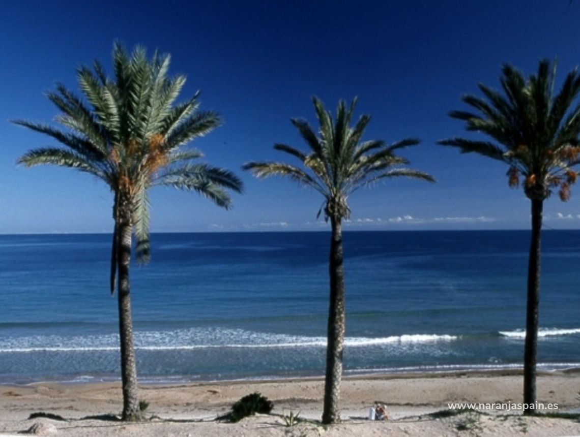 Nowa inwestycja - Bungalow - Pilar de la Horadada - Parque Ramon eugenio Escudero