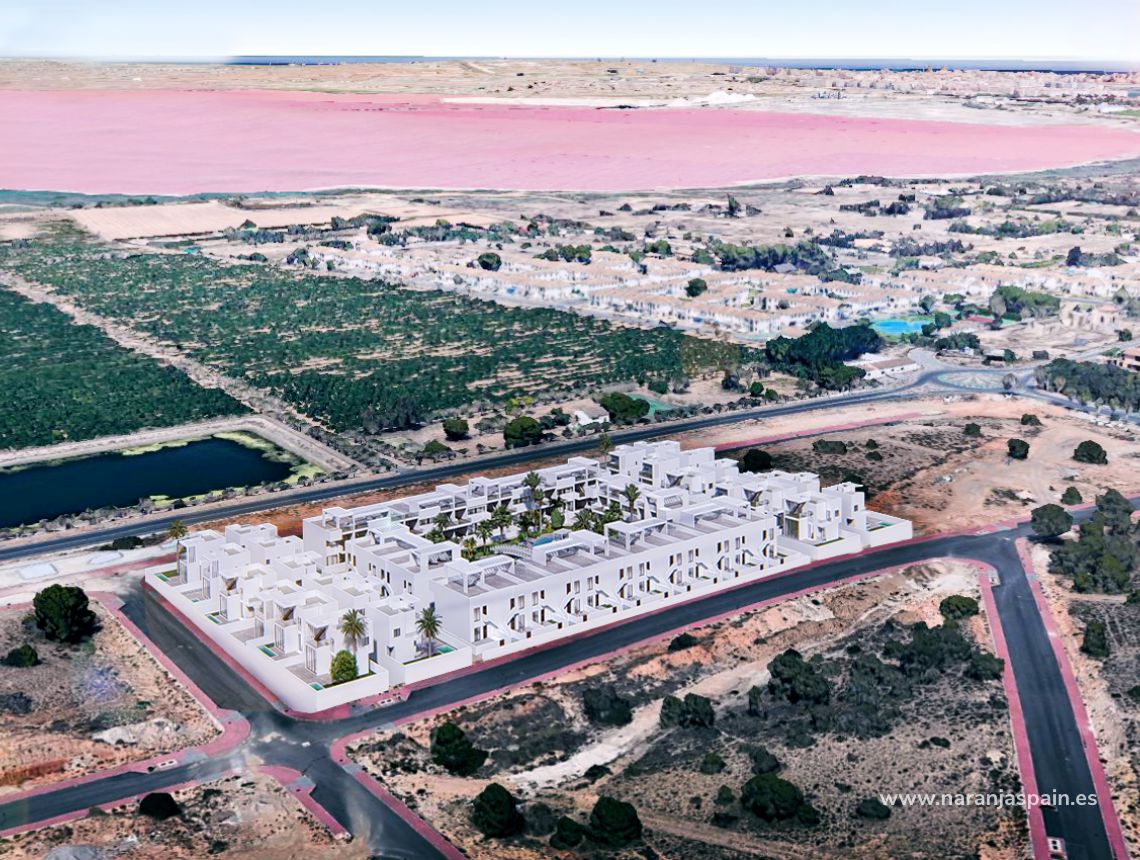 Nowa inwestycja - Bungalow - Torrevieja - Los Balcones