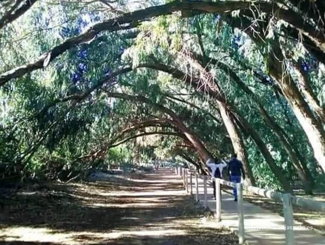 Nowa inwestycja - Bungalow - Torrevieja - Torrejón