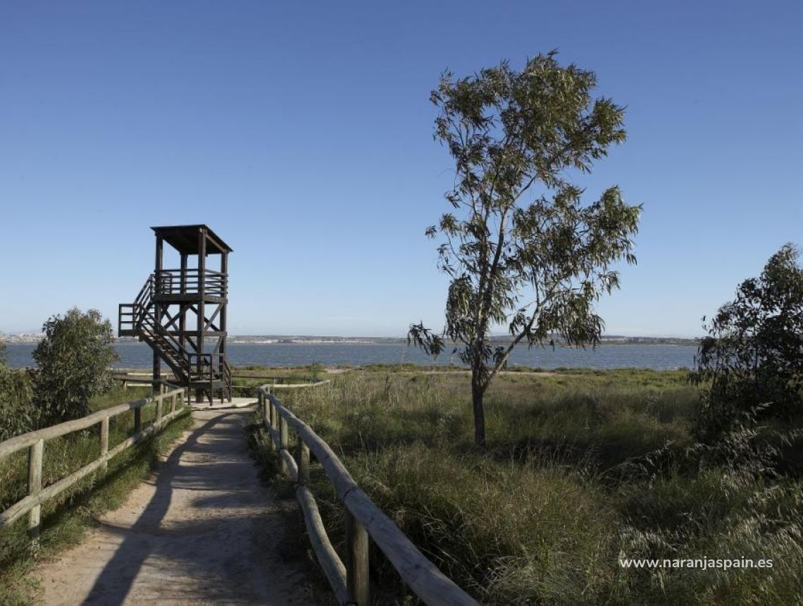 Nowa inwestycja - Bungalow - Torrevieja - Torrejón