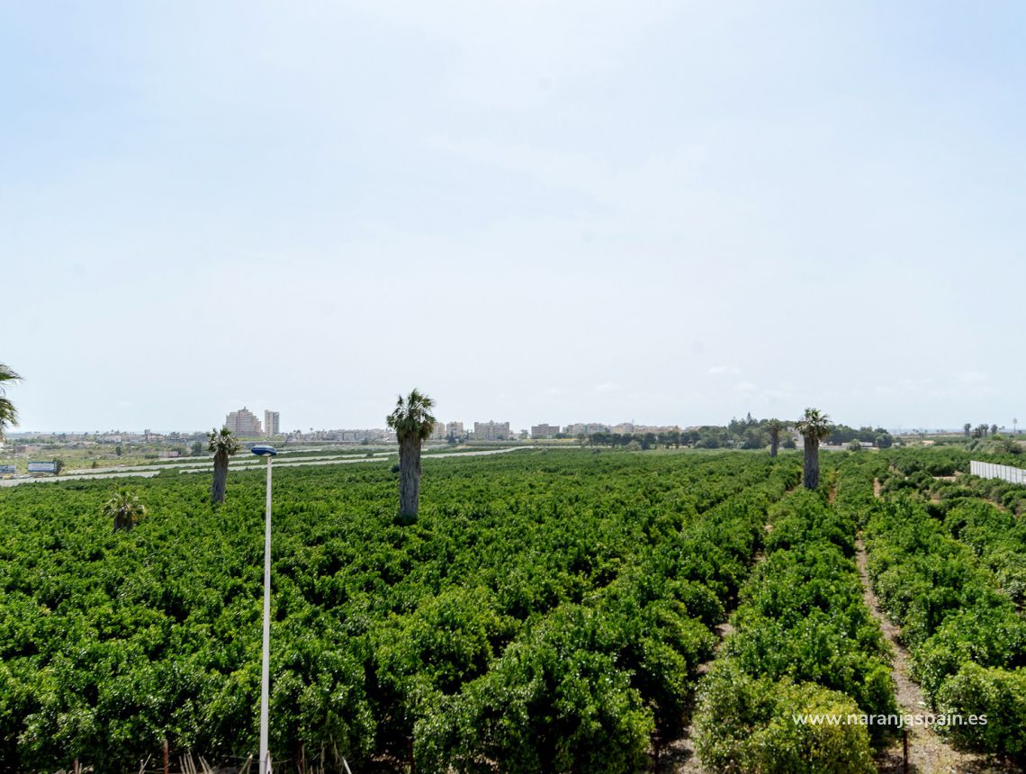 Nowa inwestycja - Dom bliźniak - Torrevieja - Los Altos