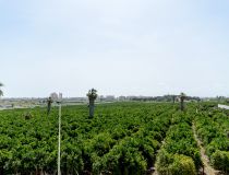 Nowa inwestycja - Dom bliźniak - Torrevieja - Los Altos