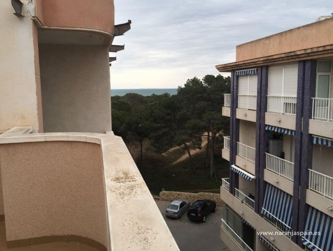 Nowa inwestycja - Penthouse - Guardamar del Segura - Pineforest