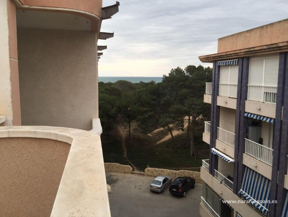 Nowa inwestycja - Penthouse - Guardamar del Segura - Pineforest