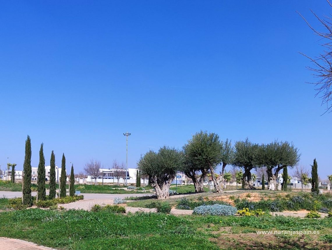 Nowa inwestycja - Penthouse - Torre Pacheco - Torre-pacheco