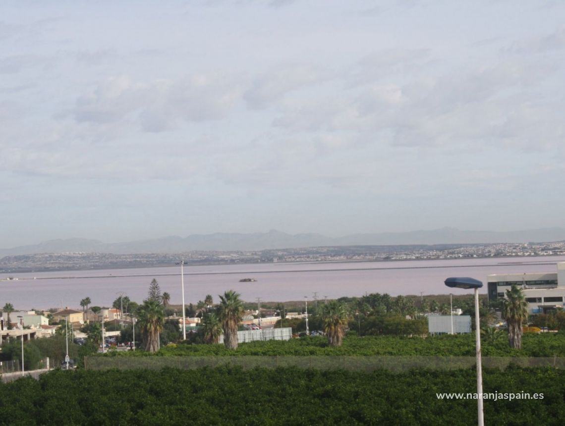 Nowa inwestycja - Town House - Torrevieja - Los Altos