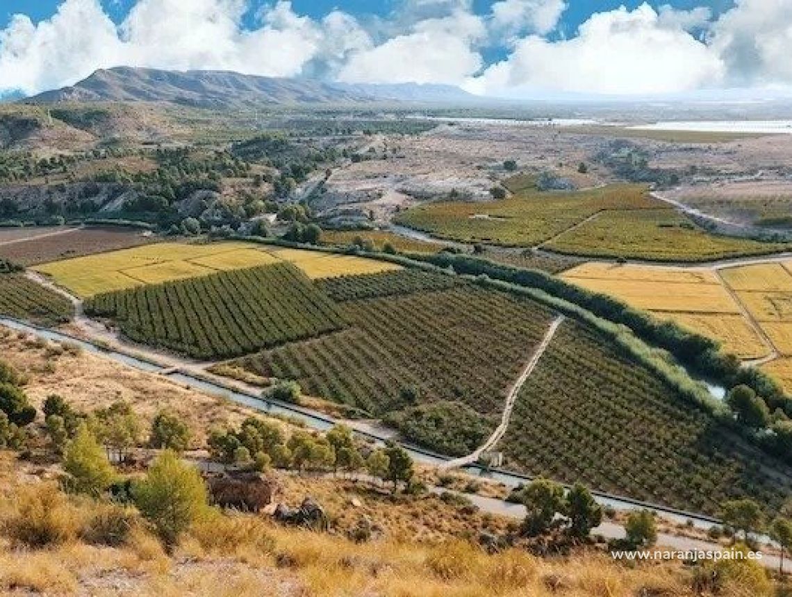 Nowa inwestycja - Willa - Calasparra - Coto Riñales