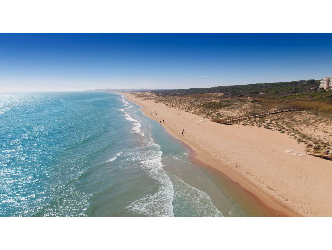 Nowa inwestycja - Willa - Guardamar del Segura - Los Secanos