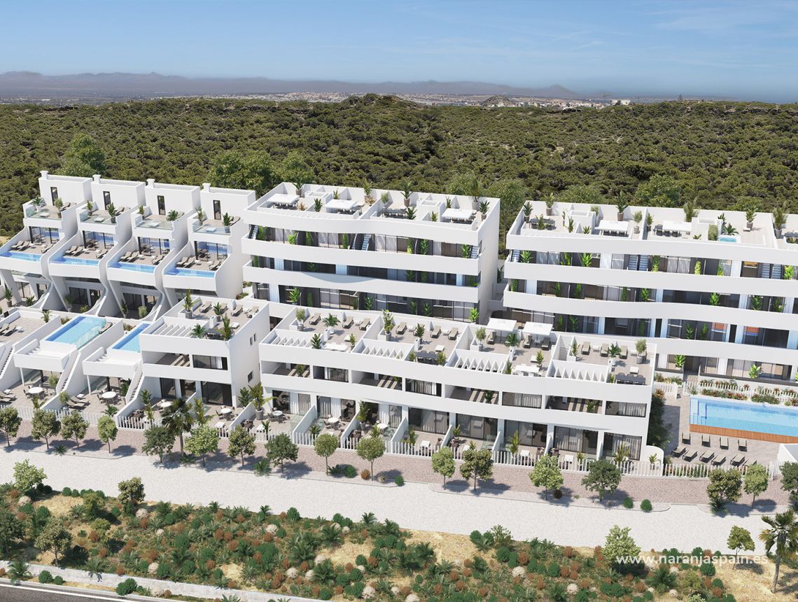 Nowa inwestycja - Willa - Guardamar del Segura - Los Secanos