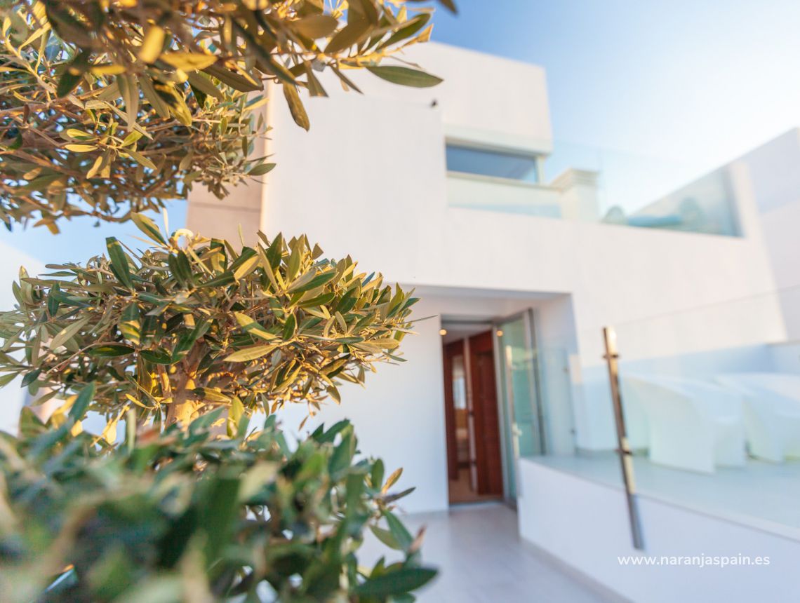 Nowa inwestycja - Willa - Guardamar del Segura - Urb. El Raso