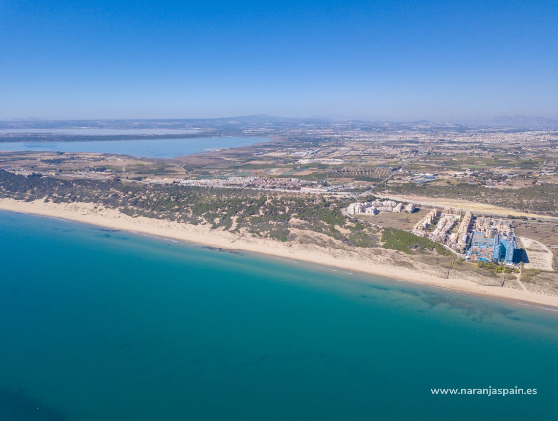 Nowa inwestycja - Willa - Guardamar del Segura - Urb. El Raso