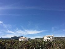 Nowa inwestycja - Willa - Pinoso - Camino Del Prado