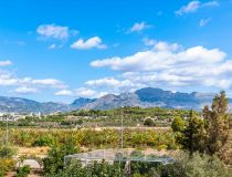 Nowa inwestycja - Willa - Polop - Novapolop