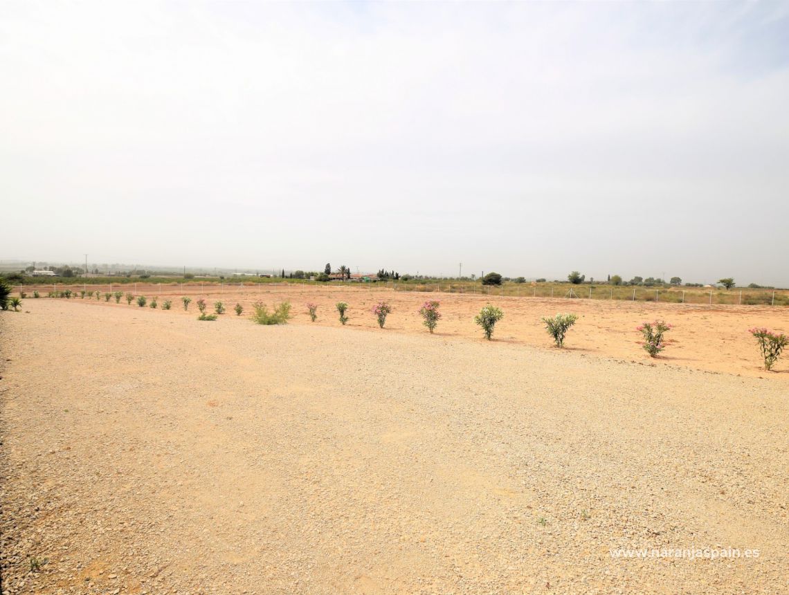 Nowa inwestycja - Willa - San Fulgencio