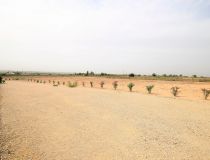 Nowa inwestycja - Willa - San Fulgencio