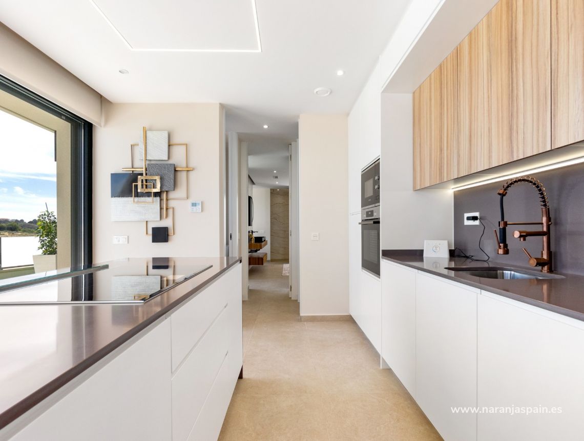 Nowa inwestycja - Willa - San Miguel de Salinas