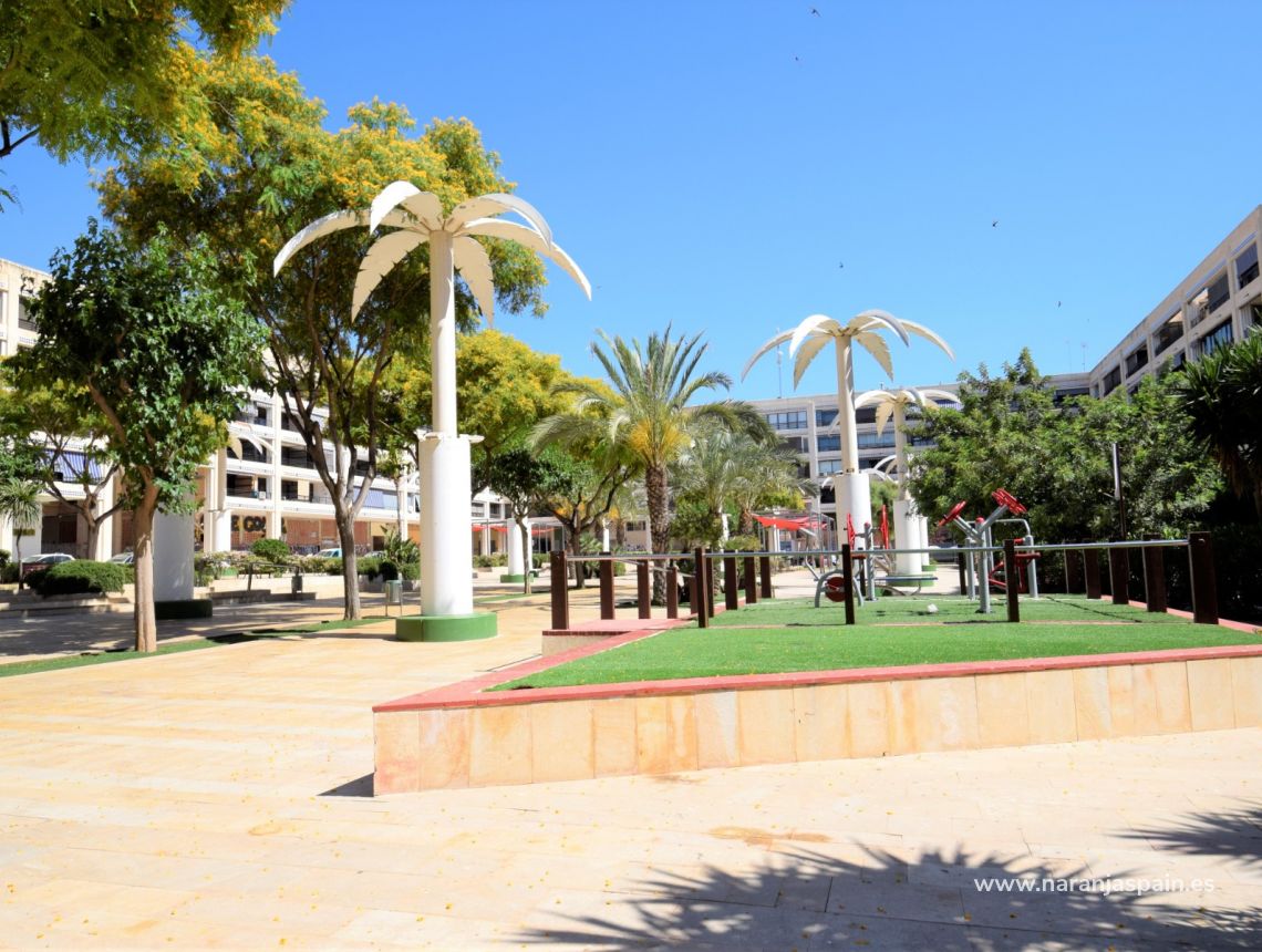 Nuoma atostogoms - Apartamentai - Guardamar del Segura - Plaza Porticada