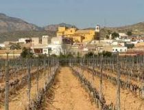 Ny bolig - Bungalow - Hondon de las Nieves - Canalosa