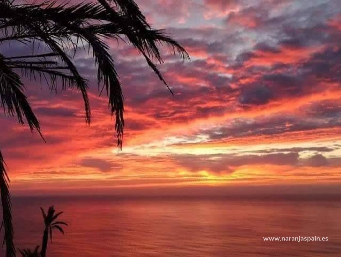 Ny bolig - Bungalow - Torrevieja - aguas nuevas